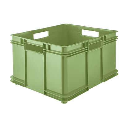 Pojemik Bruno Eco-Line Euro-Box XXL 52 x 43 x 28 cm 54 l zielony