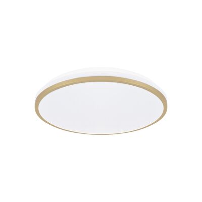 Plafoniera LINUS LED C 12 W nW strühm