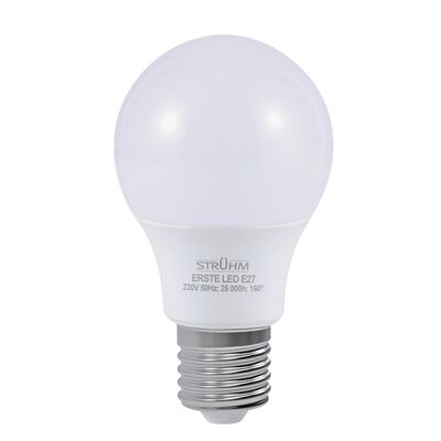 Lampa z diodami ERSTE led E27 14 W CW STRÜHM
