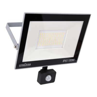 Naświetlacz z czujnikiem ruchu KROMA led S 100 w GREY neutralna biel NW STRÜHM