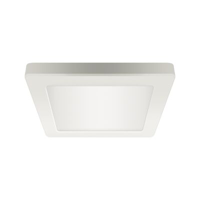 Oprawa sufitowa OLGA LED D 12 W white cct strühm