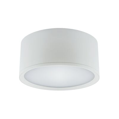 Oprawa sufitowa ROLen LED 15 W  white nW strühm