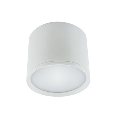 Oprawa sufitowa ROLen LED 10 W  white nW strühm