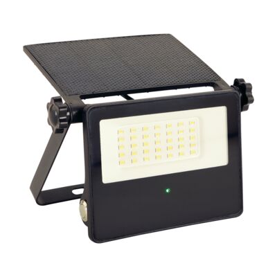 Naświetlacz z czujnikiem ruchu SANTOR LED 10 W zimna biel cW strühm