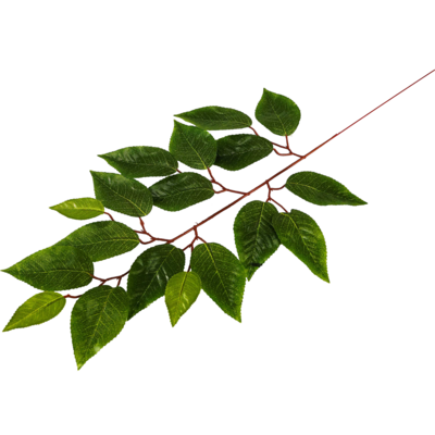 Gałązka liści fikusa 62 cm