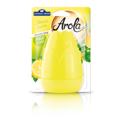 Odświeżacz powietrza w aerozolu „Magiczna Szyszka” 40 ml cytrus General Fresh