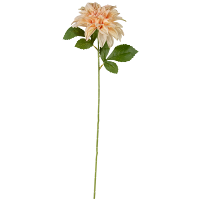 Dalia 60 cm różowy