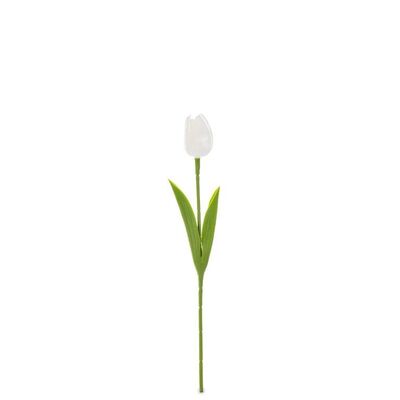 Tulipan 33 cm biały