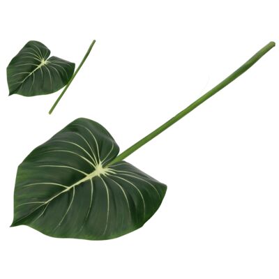 Philodendron liść 75 cm
