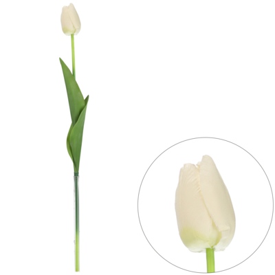 Tulipan pojedynczy na gałązce 46 cm biały