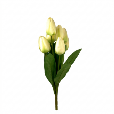 Bukiet 9 tulipanów wys. 42 cm kremowy