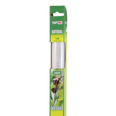 Świetlówka T8 Natural 36 W