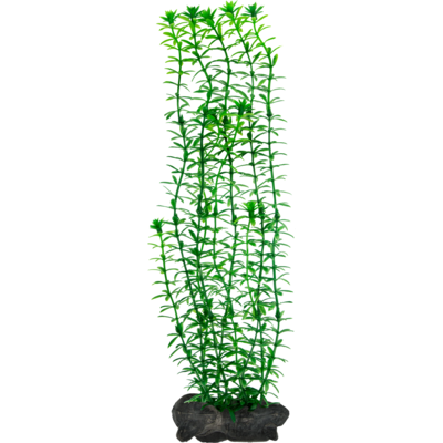 Ozdoba akwariowa DecoArt Plant M Anacharis TETRA