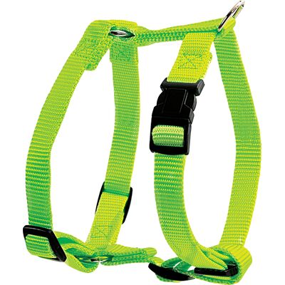 Szelki nylon regulowane 20 mm seledynowy ZOLUX