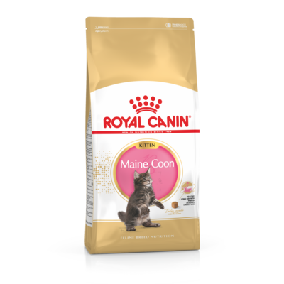 Karma dla kotów MAINE COON KITTEN 400 g ROYAL CANIN