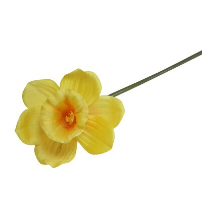 Żonkil pojedynczy 40 cm