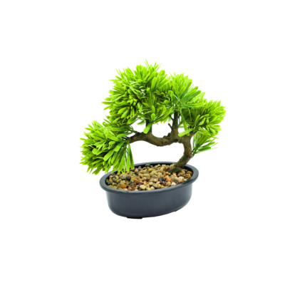 Bonsai w doniczce 23 cm