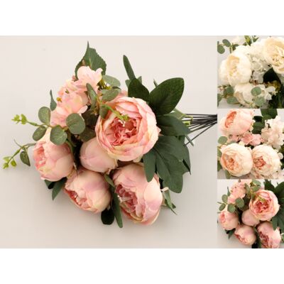 Peonia bukiet x 11