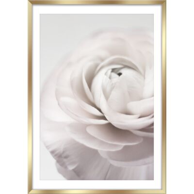 Plakat w ramie 50 x 70 cm FP012