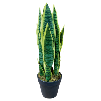 Kwiat sztuczny Sansewieria gwinejska 55 cm