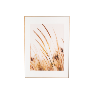 Obraz w ramie ARTBOX DIGI 50 x 70 cm AB078 GRASSES I