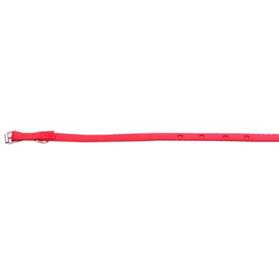 Obroża taśma 25/70 cm czerwona CHICO
