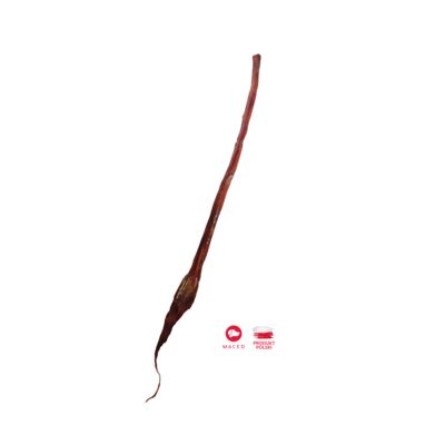 Przysmak suszony penis wołowy cały 70 cm 140 g Maced