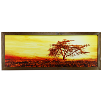 Fotografie w ramie 35 x 100 cm