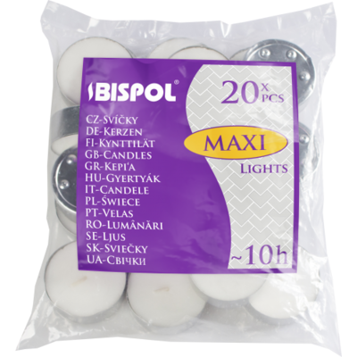 Podgrzewacz p40-20 maxi 10H Bispol