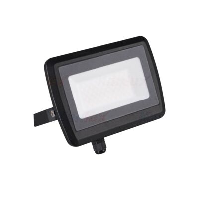 Naświetlacz ANTEM LED 50 W neutralna biel NW B