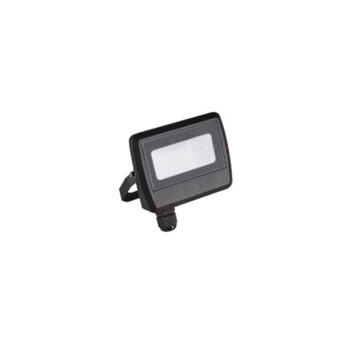 Naświetlacz ANTEM LED 10 W neutralna biel NW B
