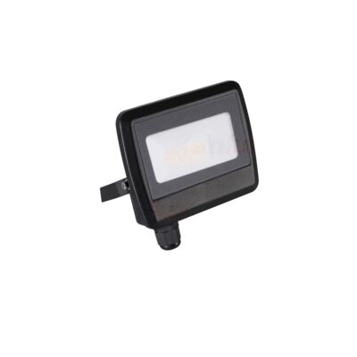 Naświetlacz ANTEM LED 20 W neutralna biel NW B