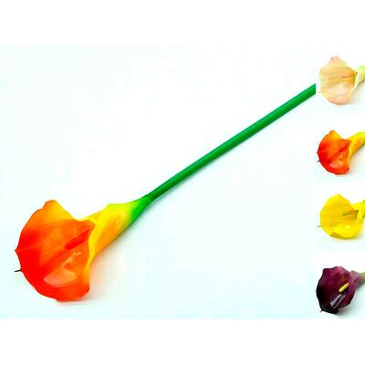 Calla pojedyncza gumowana 66 cm