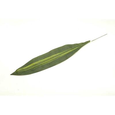 Liść draceny pojedynczy 60 cm