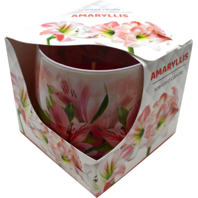 Świeca szklanka powlekana 100 g amarylis