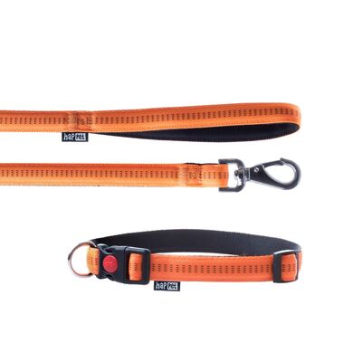 Smycz + obroża Soft Style pomarańcz XL 2,5 cm