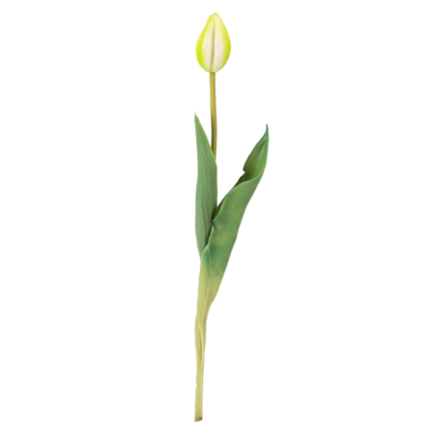 Tulipan pojedynczy gumowany mix kolorów 41 cm